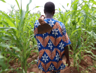 Digital Gap & Opportunity Assessment for small and medium&nbsp;agri-business