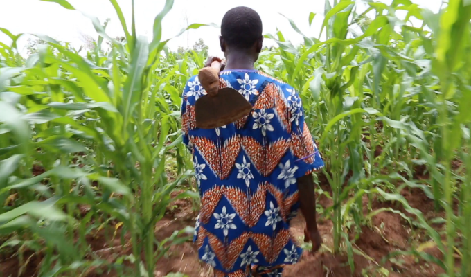 Digital Gap & Opportunity Assessment for small and medium&nbsp;agri-business